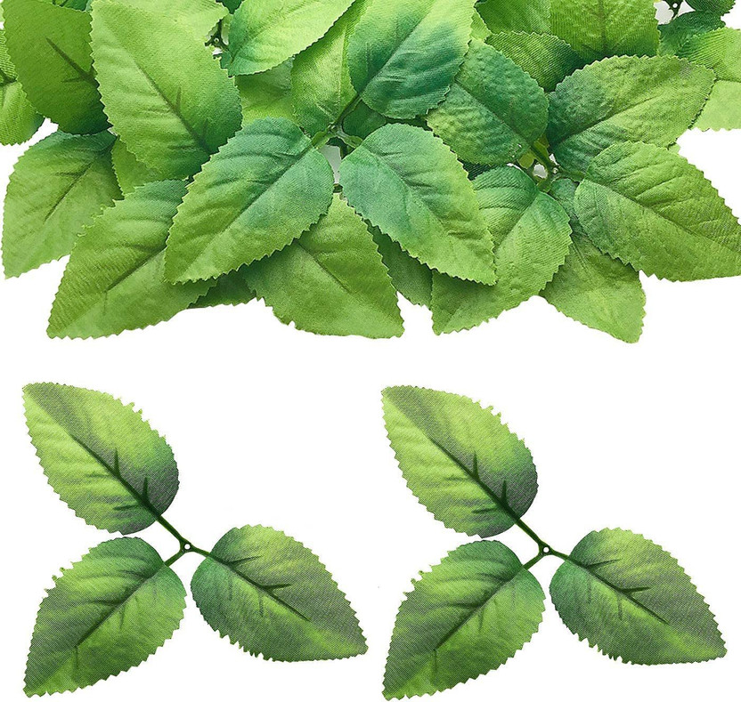Siddhivinayak Siddhivinayak Siddhivinayak 100 pcs Bulk Rose Leaves Artificial Greenery Fake Rose Flower Leaves for DIY Bouquets Centerpieces Party Decorations Rose Vine Wreath Garlands Supplies(Dark Green Color) (100) Green Rose Artificial Flower(5 inch, Pack of 100, Single Flower) - Flipkart Deal