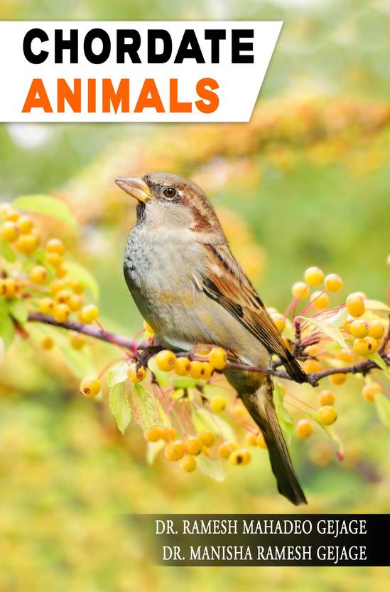 Chordate Animals: Buy Chordate Animals by DR. RAMESH MAHADEO GEJAGE, DR