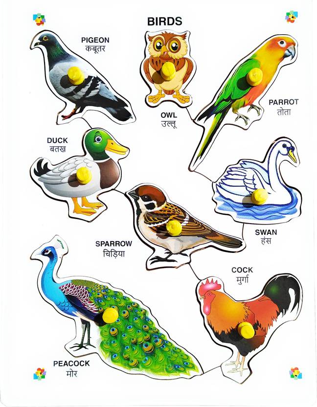 MECDOIT INTERNATIONAL Birds Name with ImageWooden Educational Puzzle