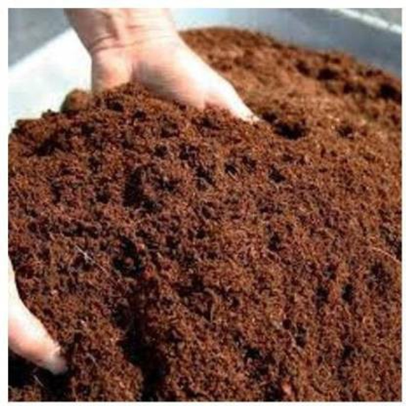 PLANT CARE COCOPEAT POWDER 5 KG - 100% NATURAL AND ORGANIC COCOPEATORGANIC Soil Manure Fertilizer(5 kg, Powder)