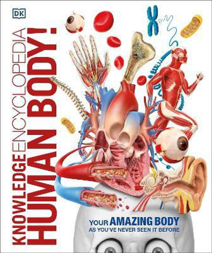 Knowledge Encyclopedia Human Body!(English, Hardcover, DK)