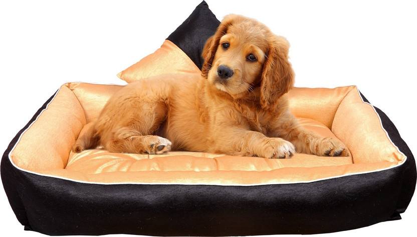 Slatters Be Royal Store PremiumQuality Velvet Luxury Washable DOG Sofa For All Season Sleeping CatPuppy L Pet Bed(Golden Black)