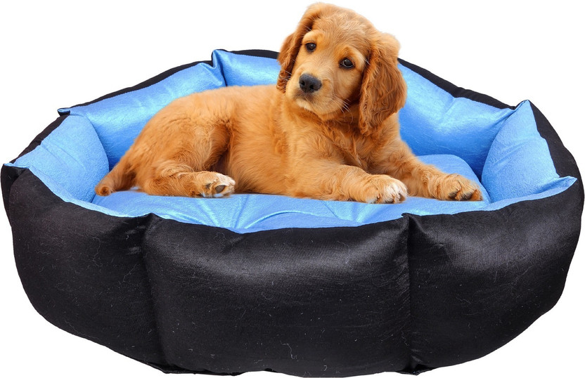 Slatters Be Royal Store PremiumQuality Velvet Luxury Washable DOG Sofa For All Season Sleeping CatPuppy XL Pet Bed(Sky Blue, Black)