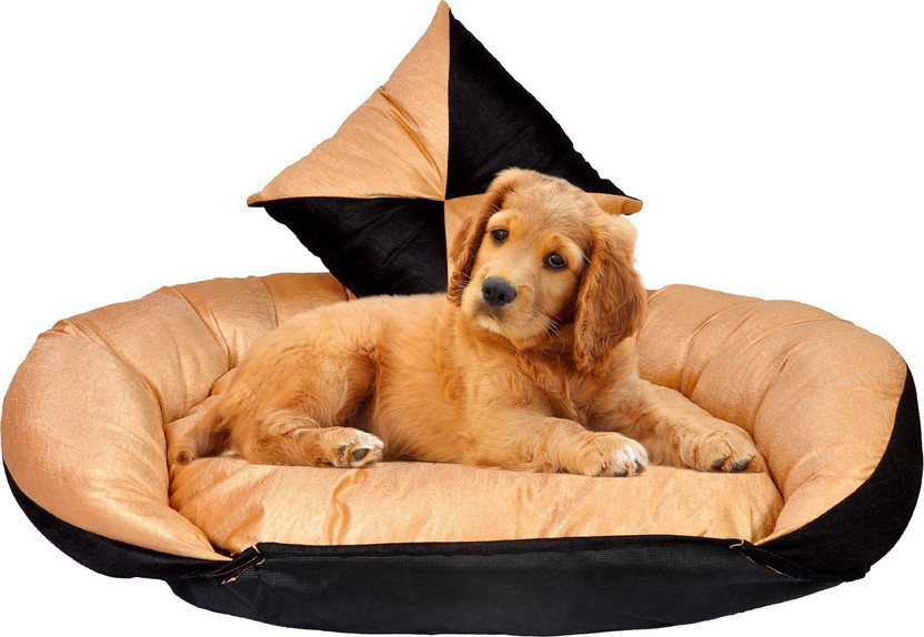 Slatters Be Royal Store PremiumQuality Velvet Luxury Washable DOG Sofa For All Season Sleeping CatPuppy XL Pet Bed(Golden/Black)