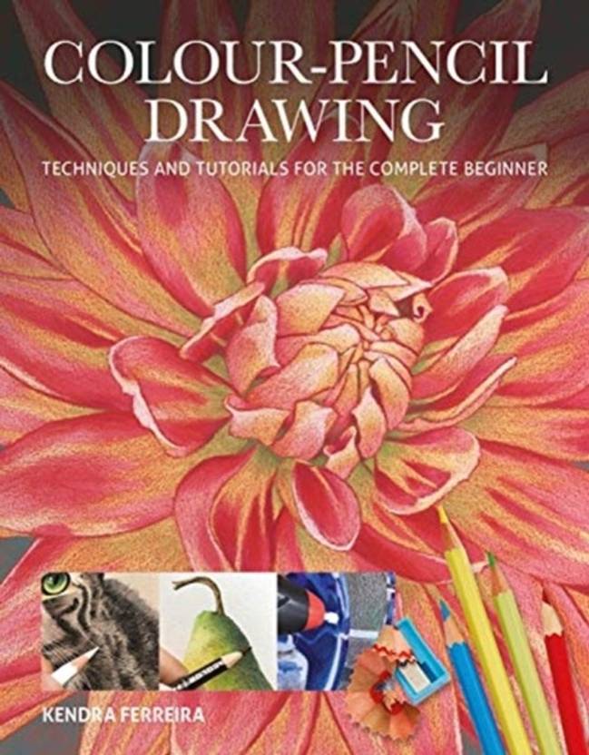 ColourPencil Drawing Buy ColourPencil Drawing by Ferreira Kendra at