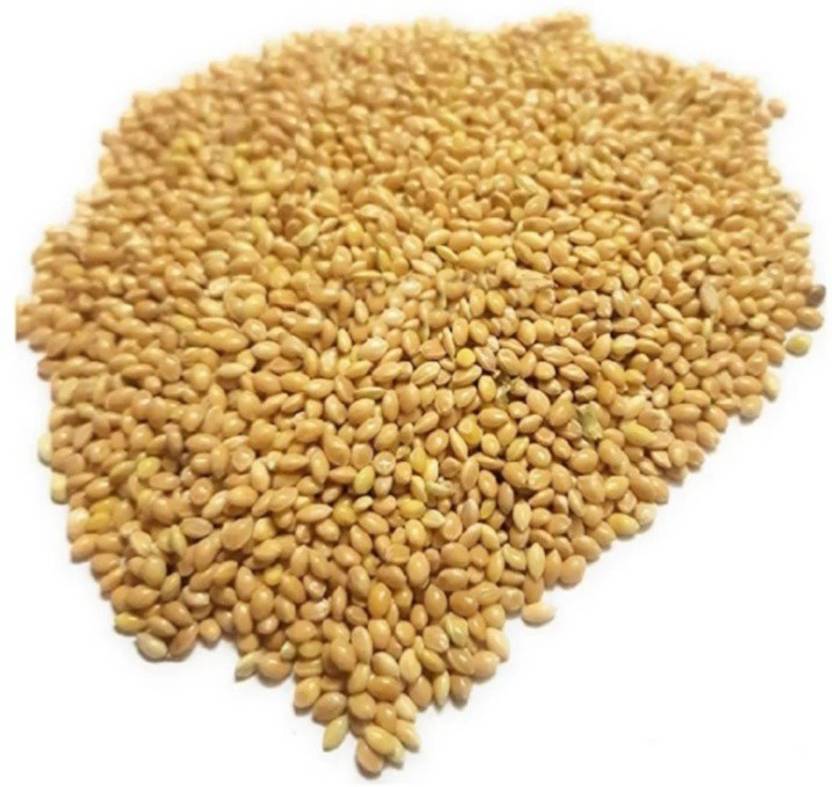 Aquality Kangni seeds for birds foxtail millet seeds 3 kg Dry Adult Bird Food Price in India