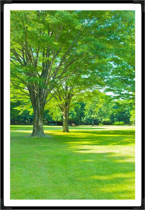 Lush Green Landscape Vastu Remedy, Painting LUSH GREEN Scene/ Vastu