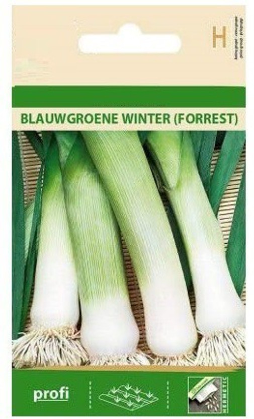 CYBEXIS CYBEXIS Leek BLAUWGROENE Winter (Forrest) Seeds4000 Seeds Seed(4000 per packet) - Flipkart Deal