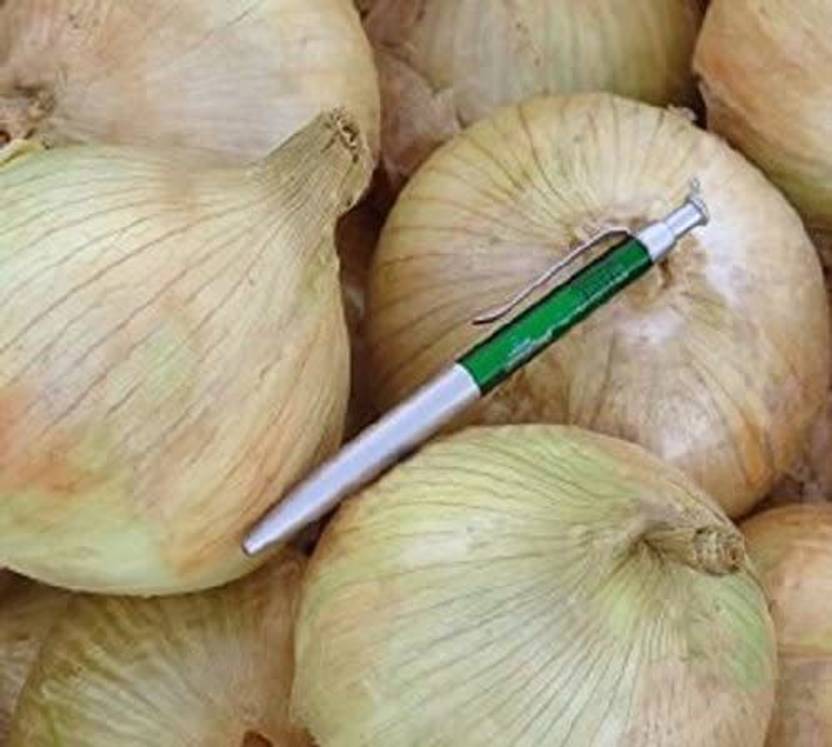 Qualtivate ™ Huge Sweet White Onion Seeds Seed Price in India Buy