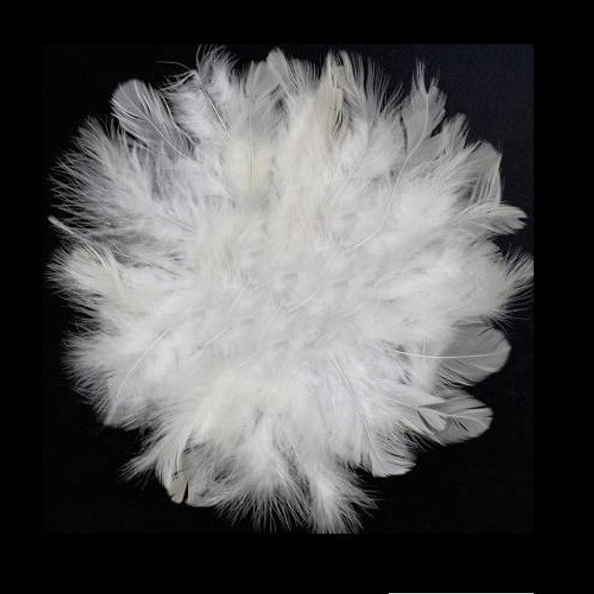 Adhvik Natural Dyed White Multi-Purpose Craft Feathers (Approximately 80pc) for Dream Catcher Artificial Jewelry Making Art & Craftworks Decorations Diy Hobby Crafts Kids Projectworks Scrapbooking