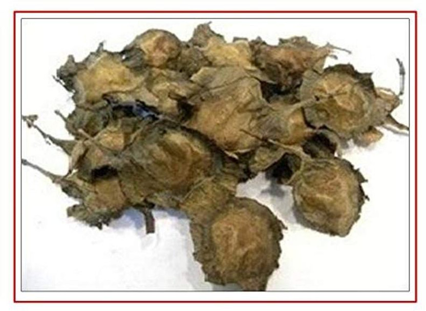 RK Seeds RK Seeds-Red sandal wood seeds -Red Sander-Lal Chandan-Pterocarpus santalinus Seeds- Redsandal Tree Seeds -Red sandalwood seeds - Pack of 100 g Seed(100 g)