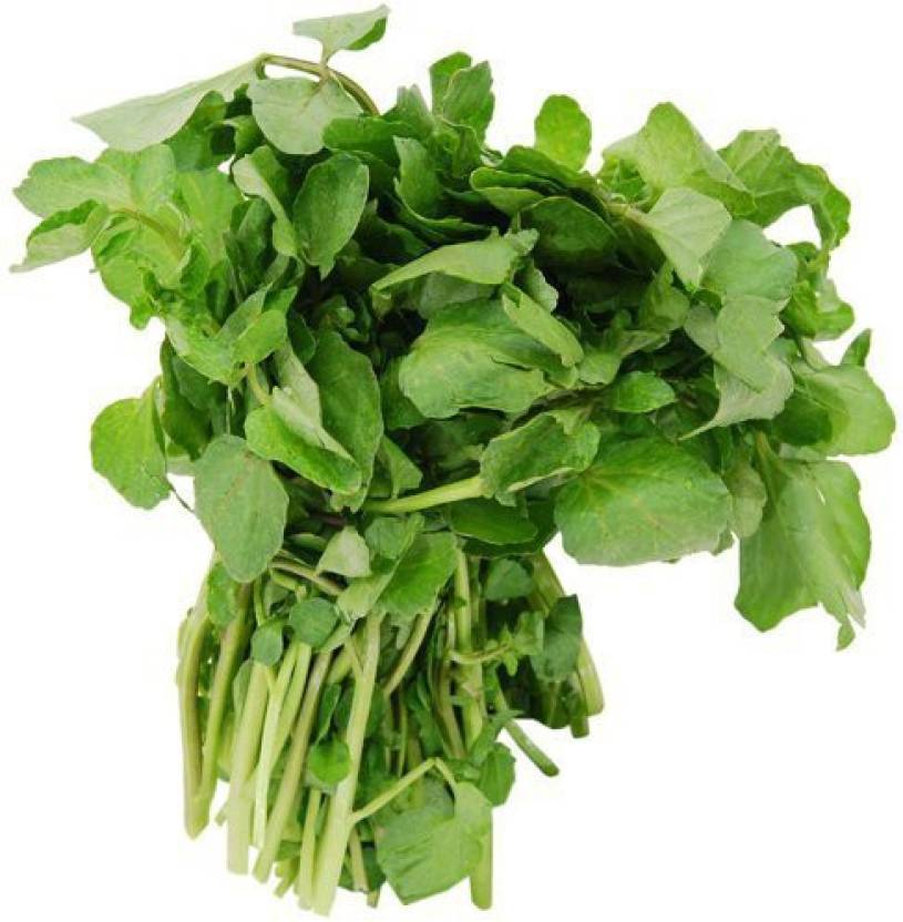 paudha-watercress-seed-price-in-india-buy-paudha-watercress-seed