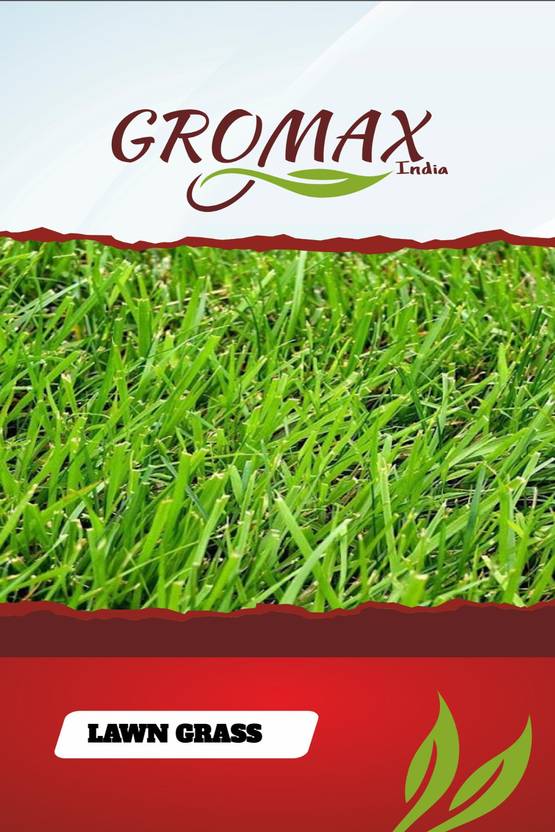 Gromax India Lawn Grass Seed Price in India Buy Gromax India Lawn