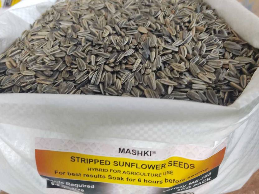 MASHKI Hybrid Sunflower Seeds for Farming, Surajmukhi ke beej, 2Kg Bag
