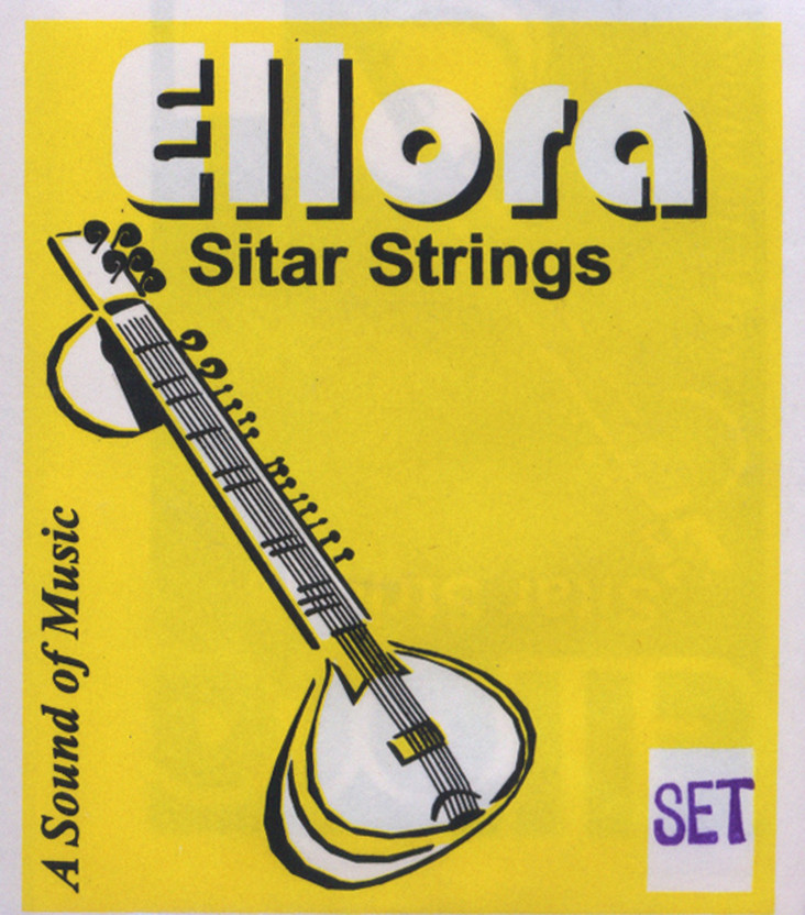 ELLORA Complete Set Of Sitar Strings And Sympathetic Tarabh 7+13 = 20 strings Sitar Strings(Stainless Steel)