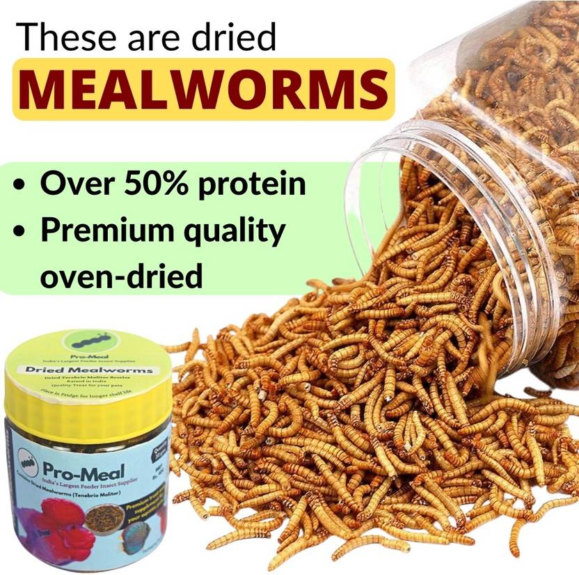 Promeal Premium Dried MEALWORMS High Protein Food for Aquarium Fishes