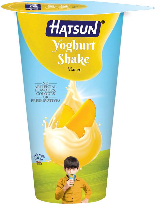 HATSUN Flavored Yogurt Mango Price in India Buy HATSUN Flavored