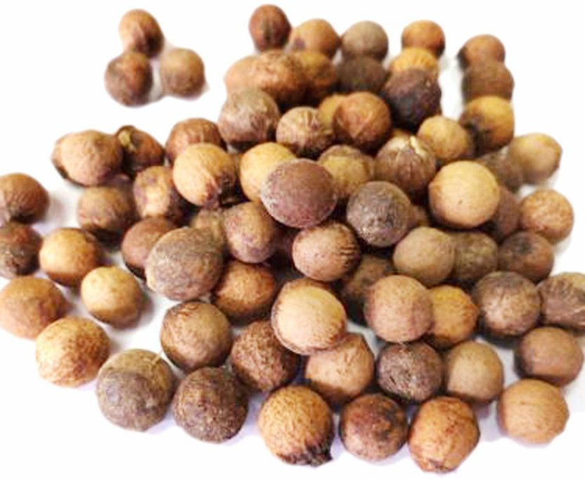 Ravel Ravel WHITE SANDALWOOD, SRI GANDA, CHANDAN, Santalum Album Tree Seed 800 SEED Seed(800 per packet) - Flipkart Deal