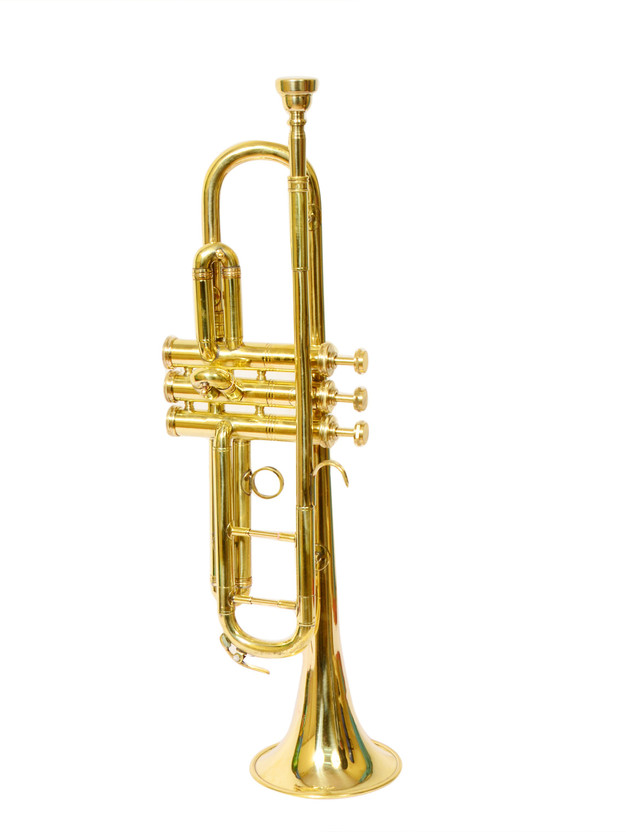 SKYLARK INTERNATIONAL TRM01 Bb Trumpet(BRASS POLISH)