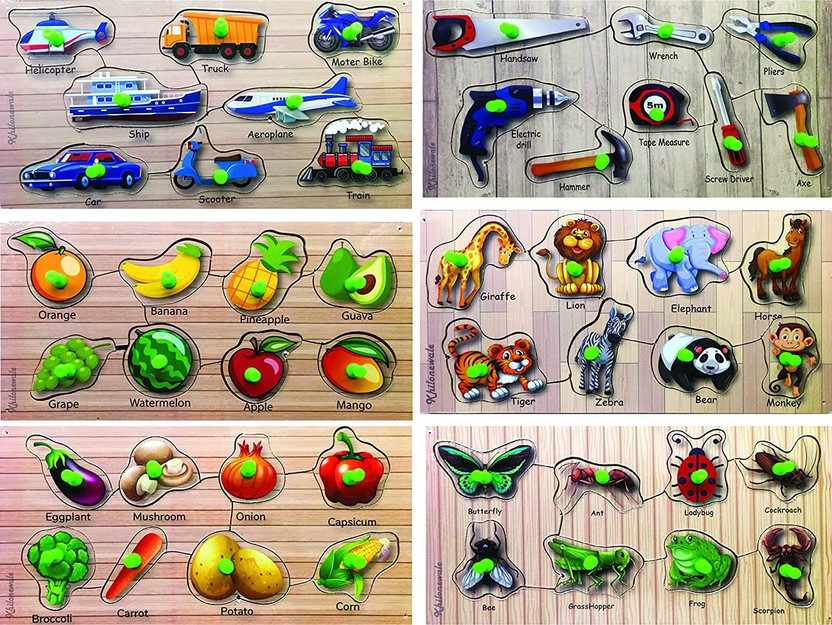 Khilonewale Wooden puzzle set ~ Insect, Transport, Animal, Fruit, Tools, Vegetables(Multicolor)
