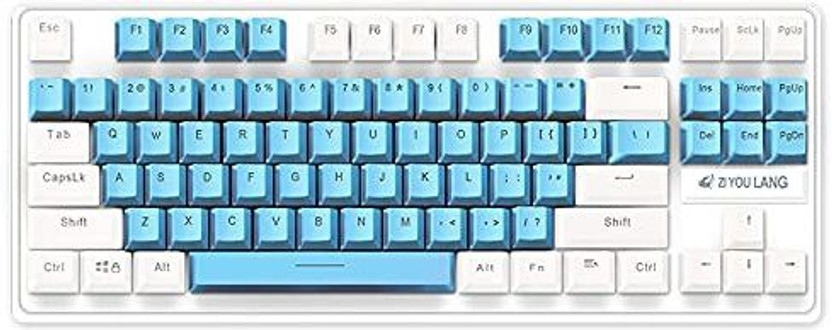 Etzin A300 Mechanical Gaming Keyboard Types Switch Gamer Keyboard Double Color Wired USB Standard Gaming Keyboard Compatible with Desktop, Laptop, Mac(Sky Blue, Whith)