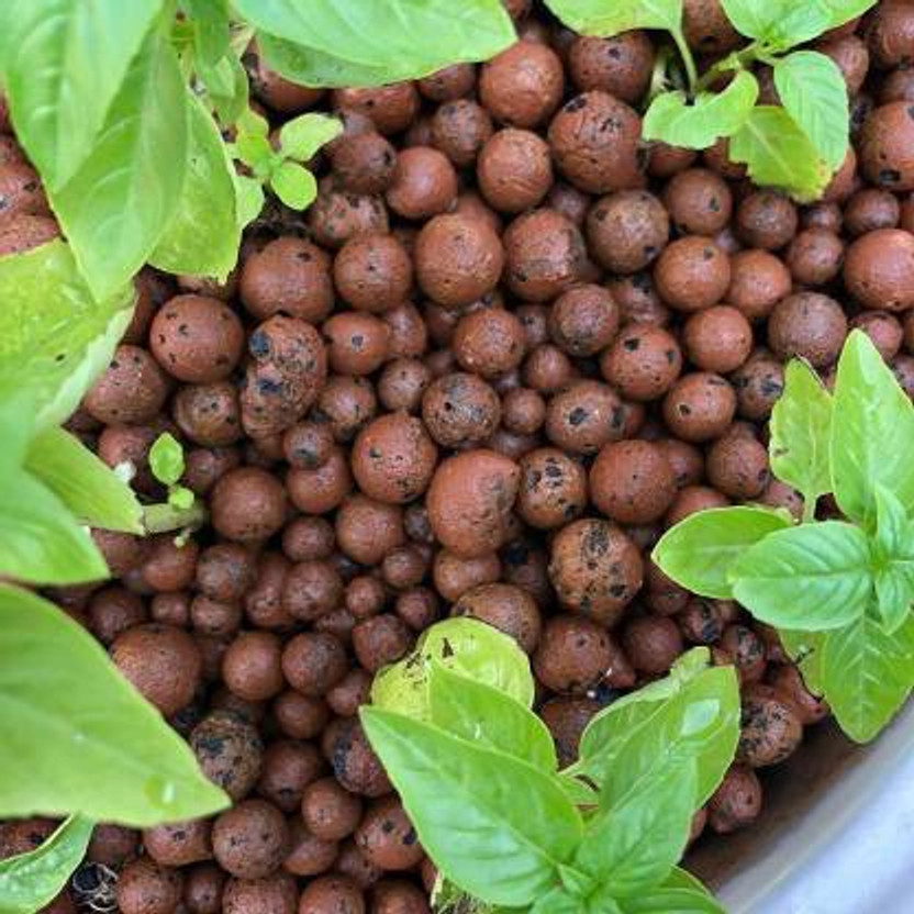PLANT CARE Clay Balls Potting Mixture(0.48 kg, Granules)