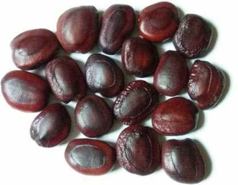 MKR Enterprises Tamrind Seed Price in India Buy MKR Enterprises