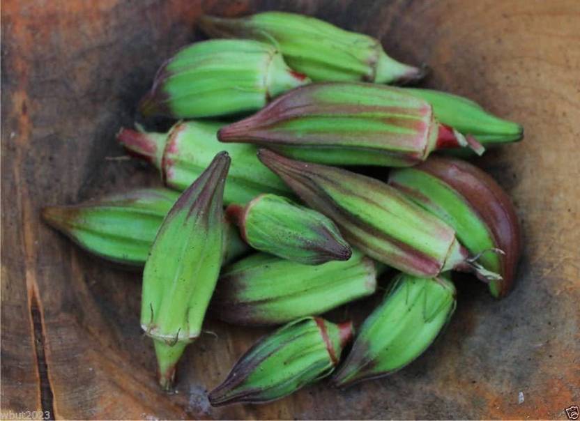 WILLVINE KGF 38 Lady Finger Red Okra Seeds ,Bhindi, Gumbo Seed Price in India Buy WILLVINE