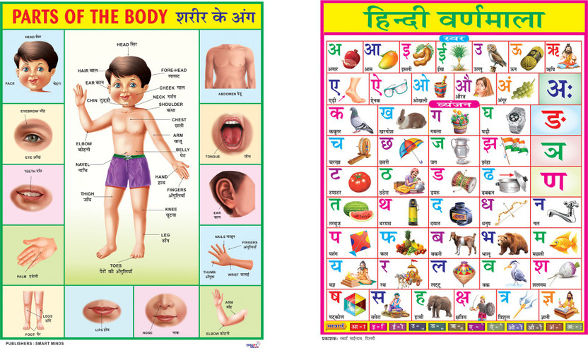 Combo of 2 Chart Part Of the Body & Hindi Varnmala Chart For Kids | 28x40Inch (70x100cm)| Laminated chart | Waterproof and Non tearable Wall Chart. Paper Print(40 inch X 28 inch, Rolled)