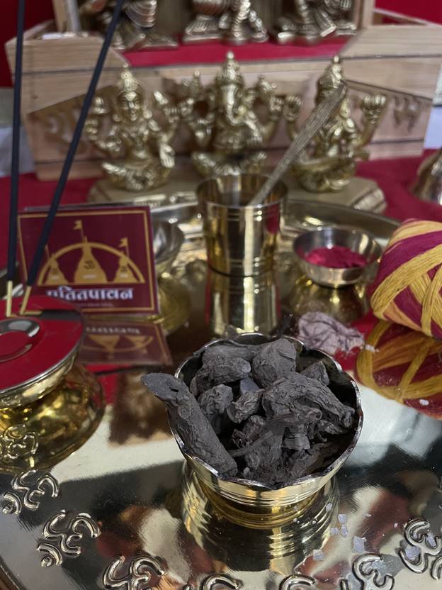 patitpavan Pure & Natural Kali Haldi/Black Turmeric for Pooja/Havan