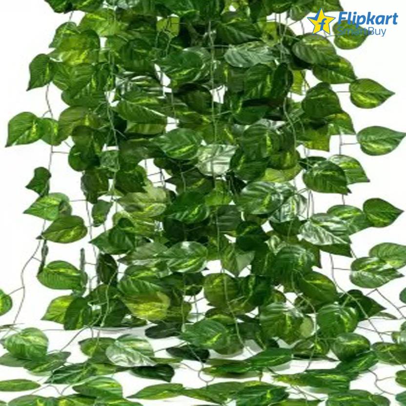 Flipkart SmartBuy Artificial Money Plant Bail Creeper for Home, Office