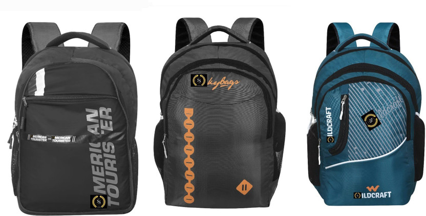 Wildcraft Tourister 24 L , Sky Bag 