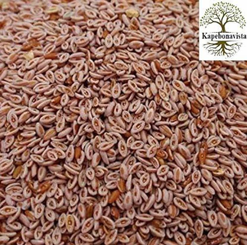 Kapebonavista Isabgol Psyllium Seed Isabgul Full Seed PLANTAGO OVATA