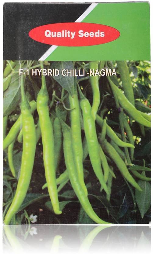 WILLVINE F1 Hybrid Chilli Nagma Seed Seed Price in India Buy WILLVINE