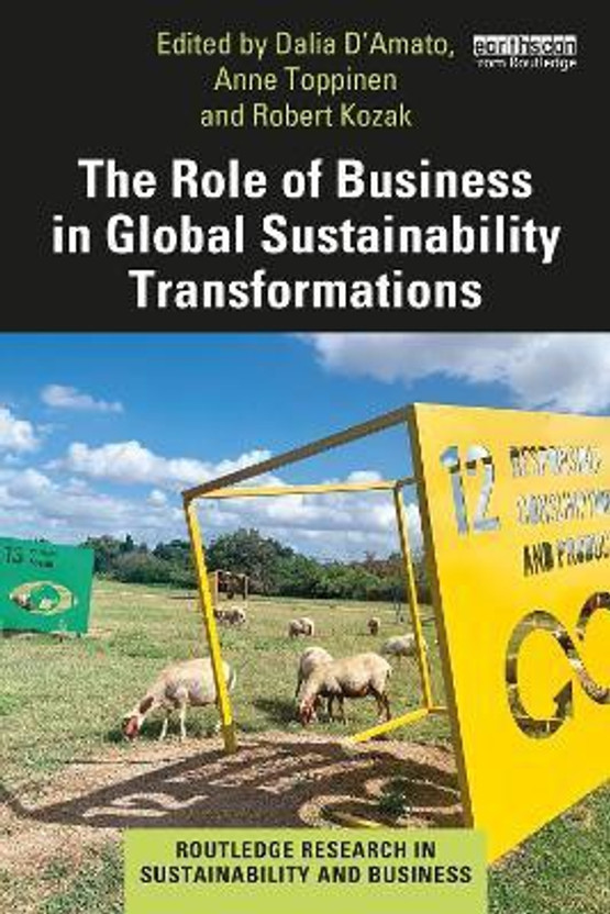 The The Role of Business in Global Sustainability Transformations(English, Paperback, unknown) - Flipkart Deal