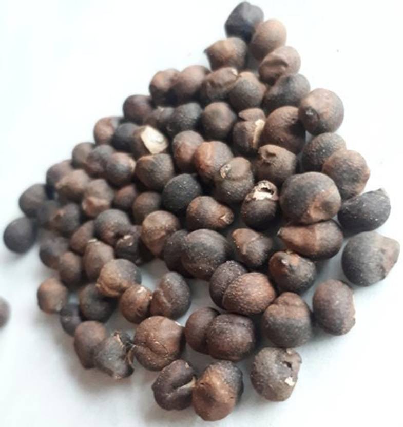 Ravel Semal Seed / Silk Cotton Tree Seed / Bombax Ceiba Seed_500 GM