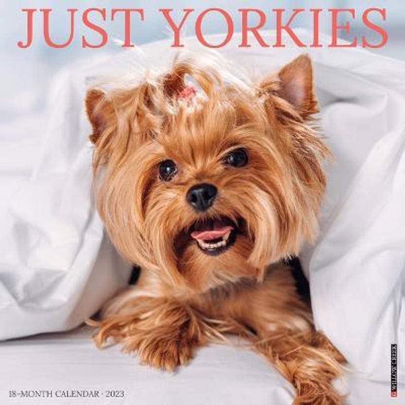 Just Yorkies 2023 Wall Calendar Buy Just Yorkies 2023 Wall Calendar by
