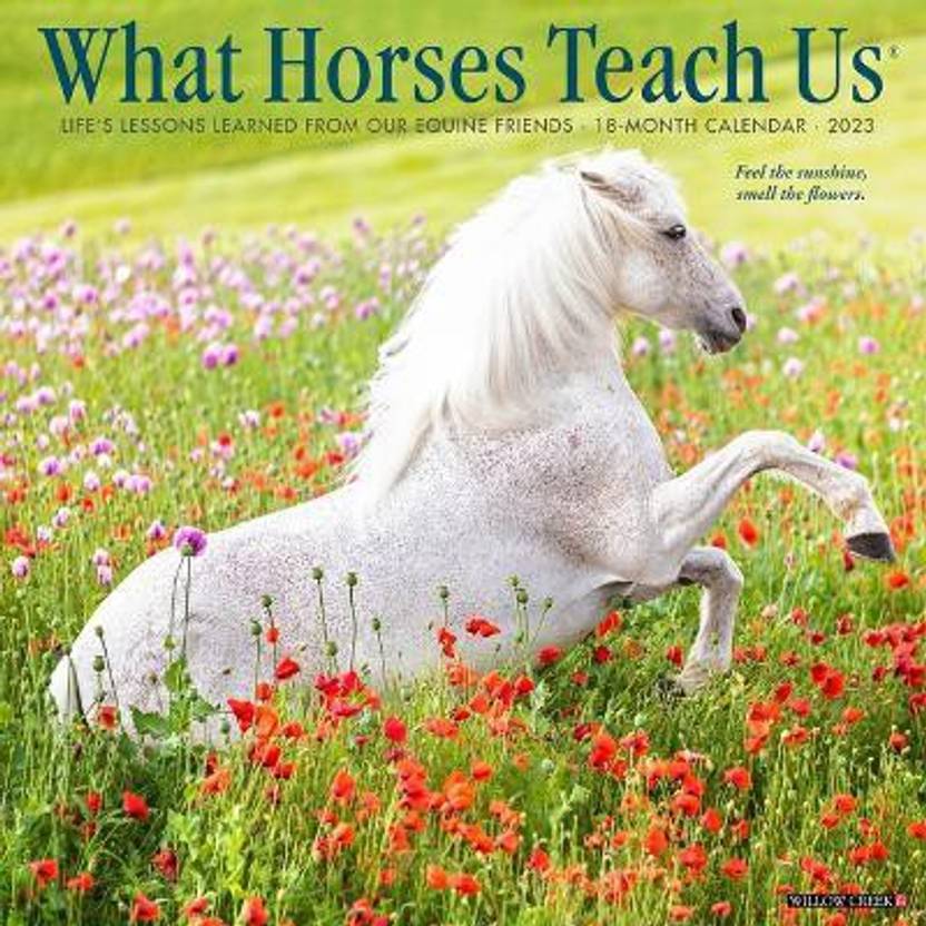 What Horses Teach Us 2023 Wall Calendar Buy What Horses Teach Us 2023
