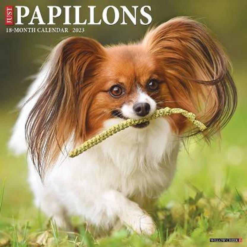 Just Papillons 2023 Wall Calendar Buy Just Papillons 2023 Wall