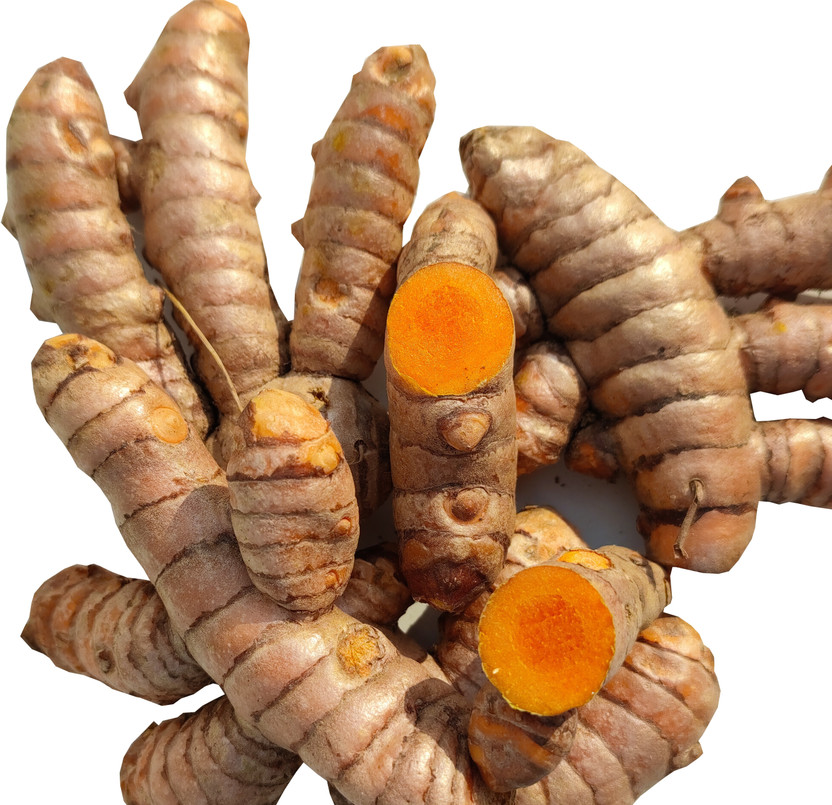 We Care Eco Products Fresh Turmeric Roots | Kachi Haldi From Kerala |Pachamanjal (250g)(250 g)
