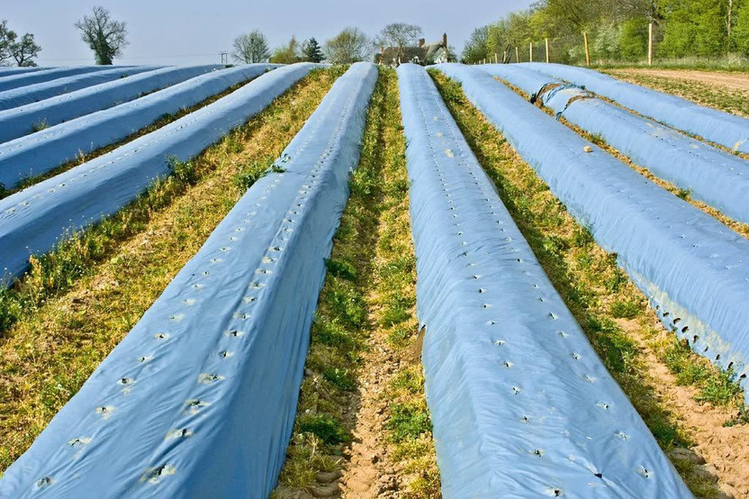 Agritec Agriculture Mulching Sheet/Paper 30 Micron/ 400 Meter Length- 4 Feet Width Garden Mulch(silver, Black 10 kg)