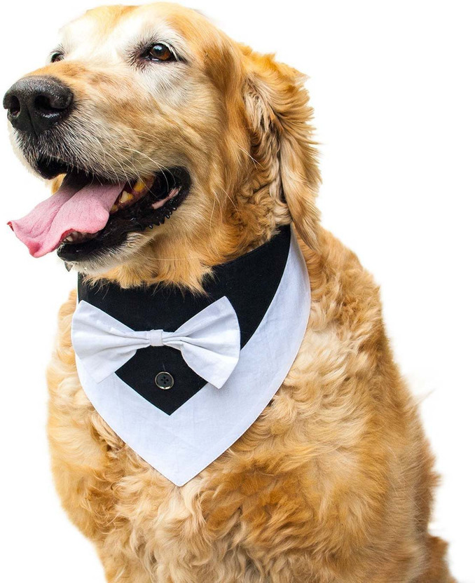 RUSE Tuxedo for Dog(Party Wear Reversible Tuxedo With Adjustable & Comfortable Snap Button/White)