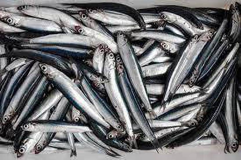 Ajay Foods Anchovy Fish Whole 500 g Price in India Buy Ajay Foods