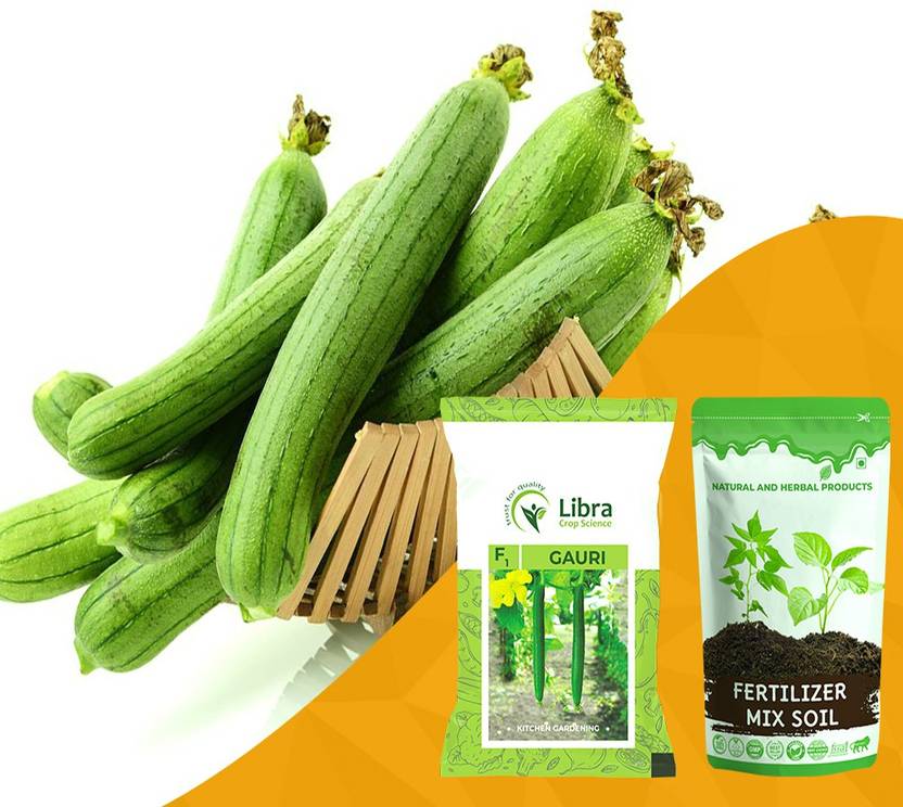 NATURAL AND HERBAL PRODUCTS Sponge Gourd Seed for Farming Home