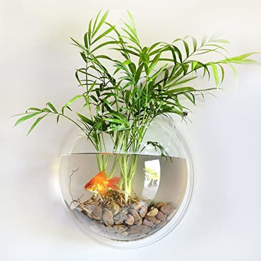 SAVORADE Wall Mount Acrylic Fish Aquarium Bowl Tank for Small Betta Fish & Plants aqua_10 Round Ends Aquarium Tank(3 L)