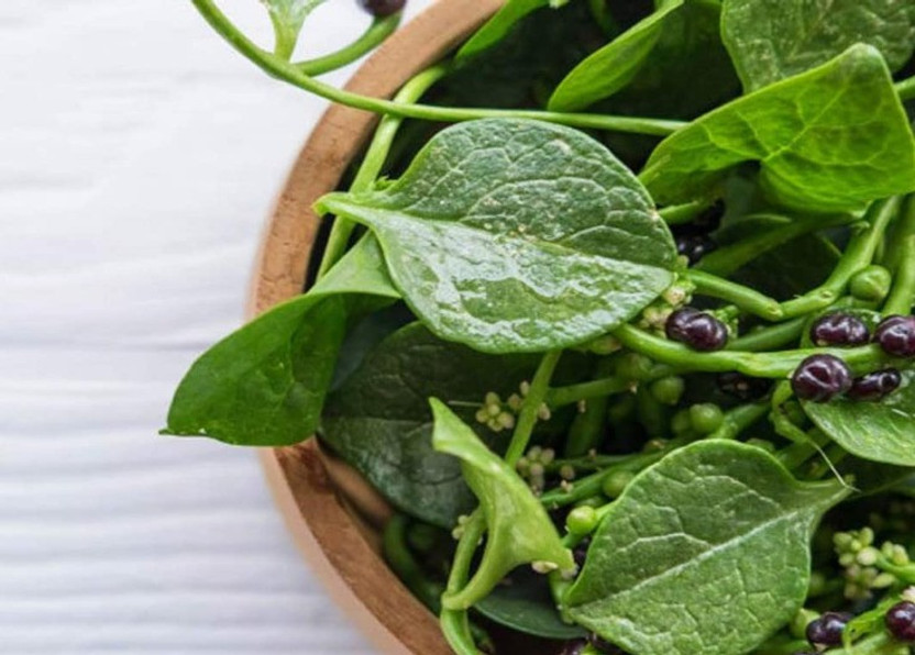 Gromax Gromax India Pui Saag Hybrid Vegetable Seed For Your, Home Gardening Seed(40 per packet) - Flipkart Deal