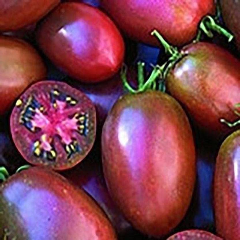 WILLVINE LX532 Ukrainian Purple Tomato Seeds1000 Seeds Seed Price in
