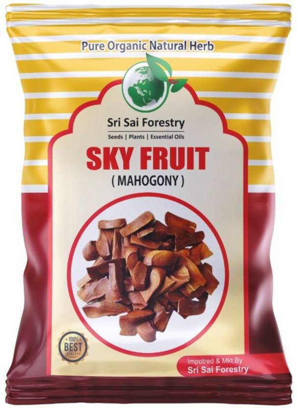 SRI SAI FORESTRY SKY FRUIT SEEDS, SUGAR BADAM, MAHOGANY Seed Price in India - Buy SRI SAI 