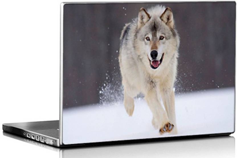 Print Store Gray Wolf Animals Vinyl Laptop Decal 15 6 Price