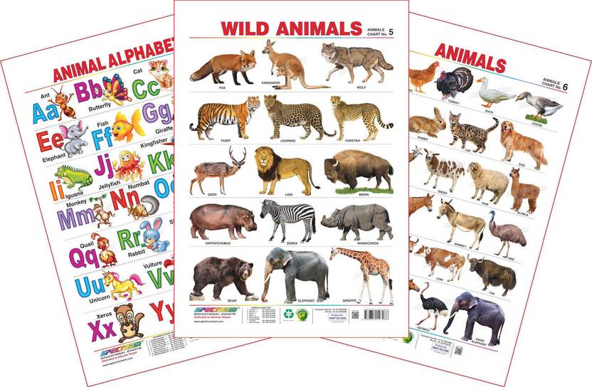 Spectrum Set Of 3 Educational Wall Charts Animal Alphabets